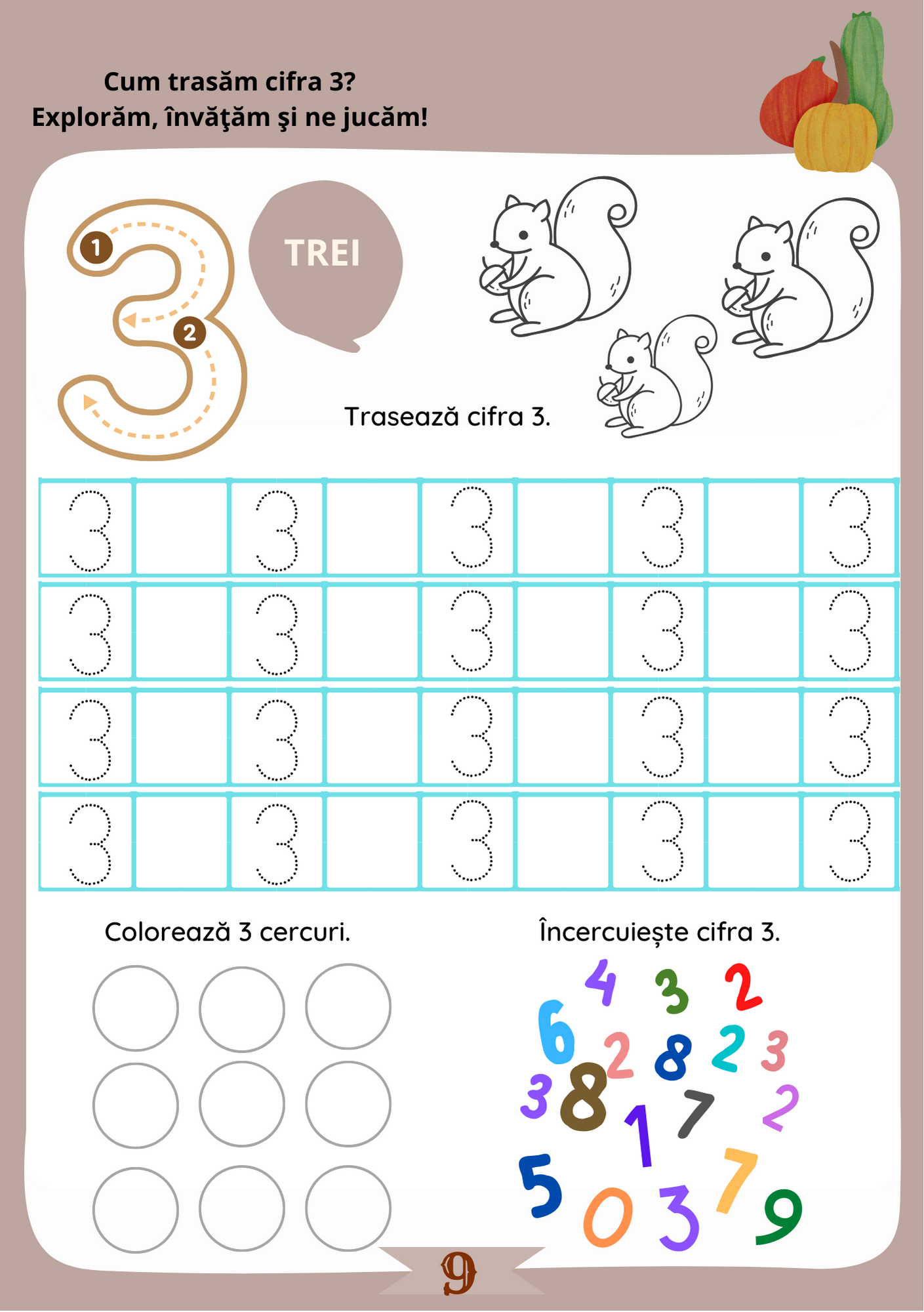 Set Caiete Scriere