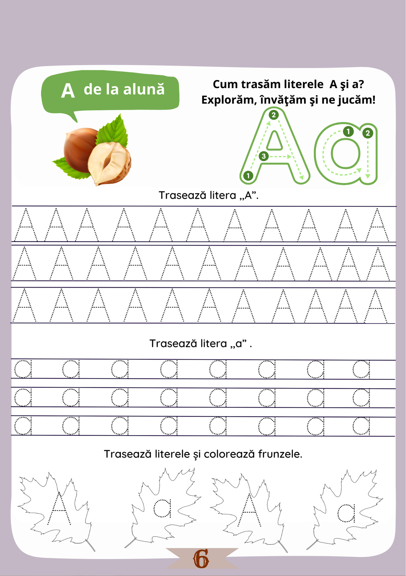 Set Caiete Scriere
