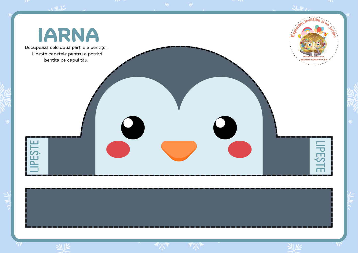 CORONIȚE CRĂCIUN/IARNĂ