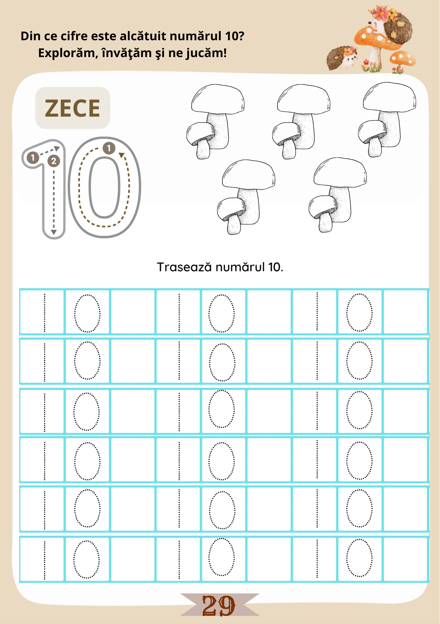 Set caiete 6-7 ani